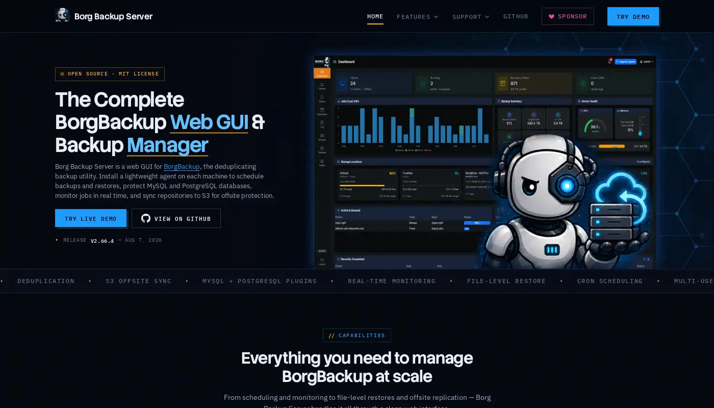 borgbackupserver.com screenshot