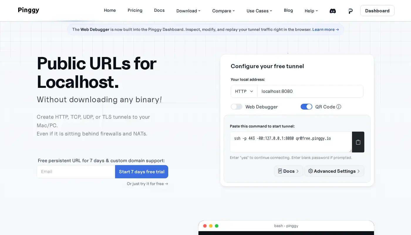 Screenshot of pinggy.io